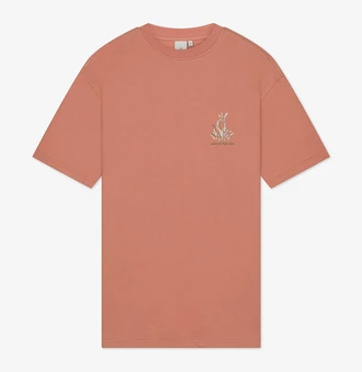 Law of the Sea LAW-10082 809 desert sand